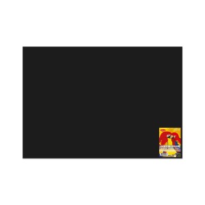 CARTON NEGRU CN271N 270G/MP 70X100 10 COLI DACO