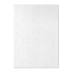 COPERTA CARTON IMITATIE PIELE ECADA 41401W