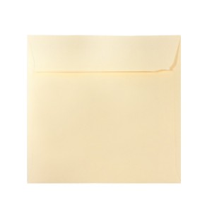 PLIC 14X14 CM PATRAT COLOR SILICONIC DACO PC1414C