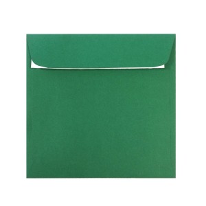 PLIC 16X16 CM PATRAT COLOR SILICONIC DACO PC1616VP